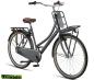 Preview: Altec Dutch 28 Zoll Transportfahrrad 3 Gang 57 cm Delphin grau